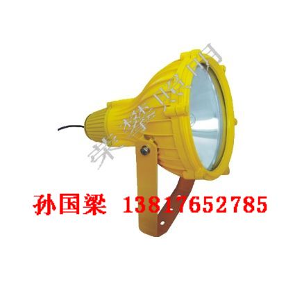 供应BTC8210 防爆投光灯BTC8210 BTC8210A JW7622